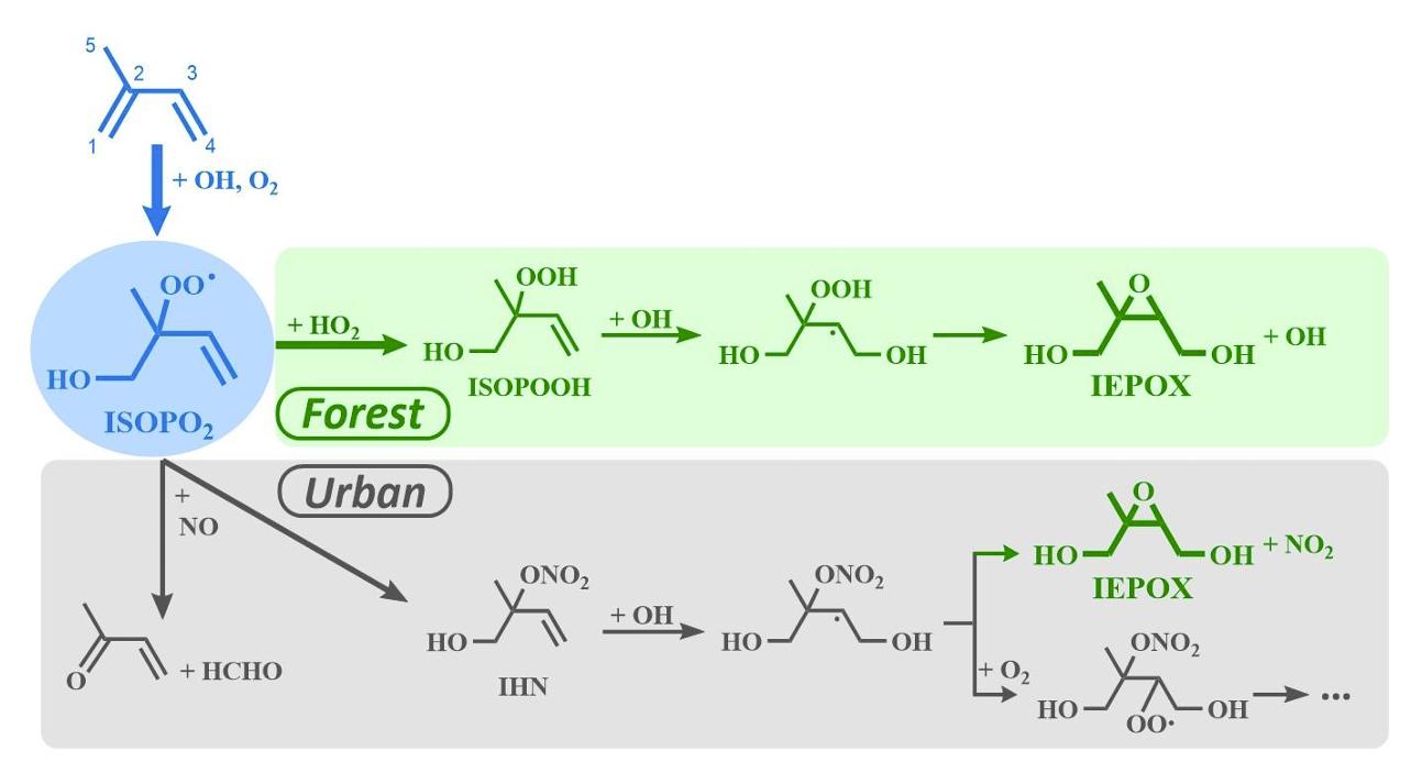 英国威廉希尔公司
